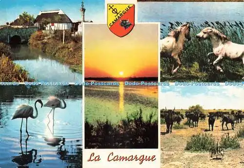 D236993 La Camargue Mar Multi View