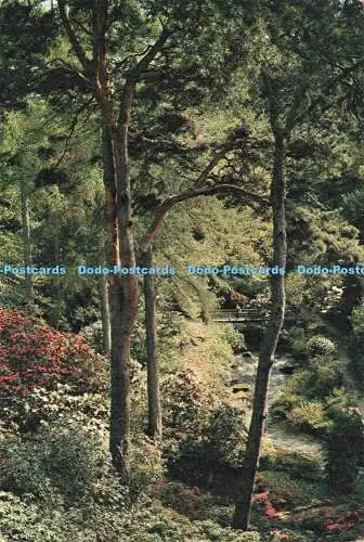 D234780 Denbigshire Ein Blick hinunter zum Dell Körper J Arthur Dixon