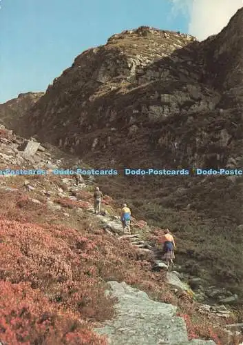 D234792 Gwynedd Die römische Treppe bei Cwm Bychan J Arthur Dixon R W Jones