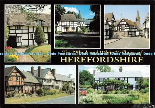 D237036 The Black and White Villages of Herefordshire Pembridge J Salmon Multi V