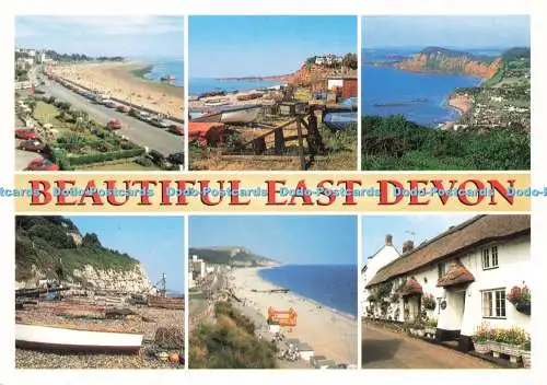 D237043 Beautiful East Devon Beer J Salmon Multi View