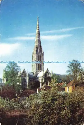 D234820 Wiltshire The Cathedral Salisbury J Arthur Dixon Antony Miles