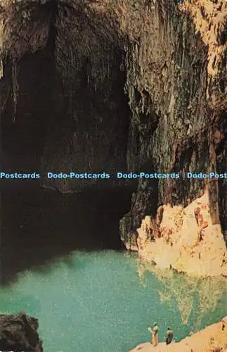 D239439 Sinoia Caves Rhoprint E Woods