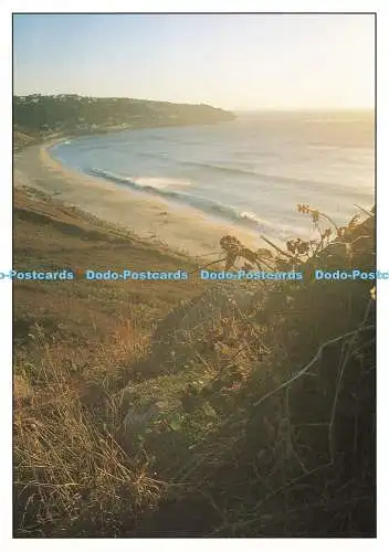 D239442 Cornwall Autumn Tints Headland Printers
