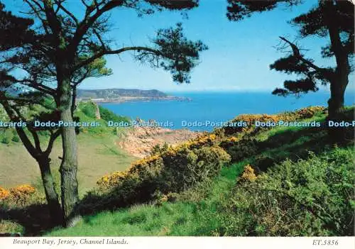 D237174 Channel Islands Beauport Bay Jersey Bamforth