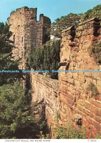 D234939 Chester City Walls The Water Tower Judges C 5054