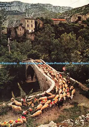 D234976 Causse Du Larzac Navacelles Editions des Septfonts