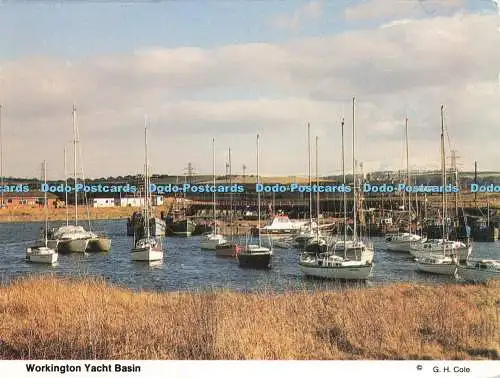 D237217 Workington Yacht Basin Jennings Printers G H Cole