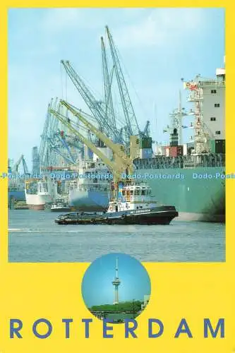 D239523 Rotterdam Holland Gebr Spanjersberg Euro Farbkarten