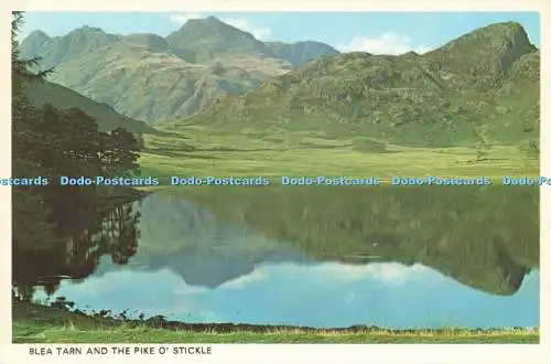 D237219 Blea Tarn and The Pike O Stickle Photo Precision Colourmaster International