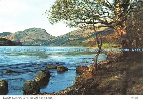 D237220 Loch Lubnaig The Crooked Lake Whiteholme A Hail Caledonian Product