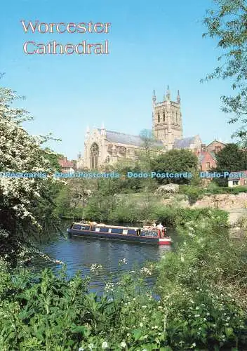 D234982 Worcester Cathedral Judges C 19768 D C Bailey