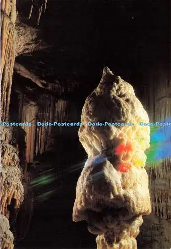 D234995 Postonska Jama Grottenhöhle The Brilliant Golob and Primozic