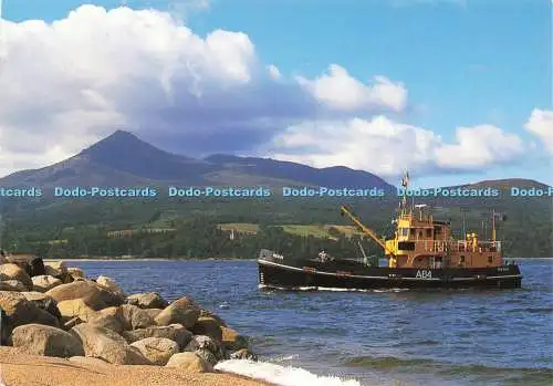 D237236 Isle of Arran Goatfell Whiteholme 1995