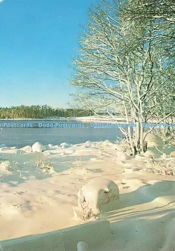 D239544 Suomi Finnland Winterblick auf den Fluss Painettu Suomessa 1981