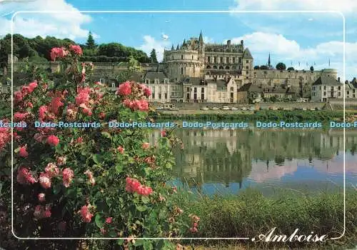D237239 Amboise Vue d ensemble du Chateau Royal Artaud Freres 1995