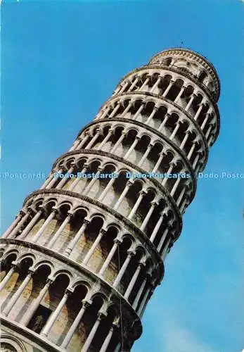 D234999 Pisa Detail des Schiefen Turms Stab Grafico Cesare Capello