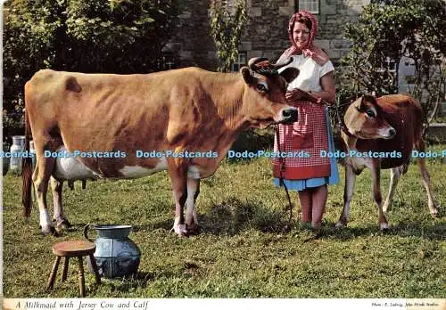 D237241 Ein Milchmädchen mit Jersey Kuh und Kalb John Hinde E Ludwig 1964