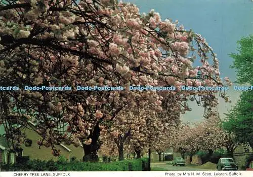 D237278 Suffolk Cherry Tree Lane The Royal British Legion Womens Section Eastern