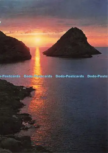 D239592 Corse Ile de Beaute Ile Rousse Sonnenuntergang auf der Insel U Segnu