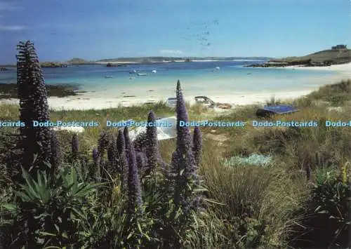 D230373 Isles of Scilly Tresco The Beach at Old Grimsby Gibsons of Scilly