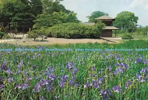 D237287 Blick auf Ruten- und Irisgarten Okayama Korakuen