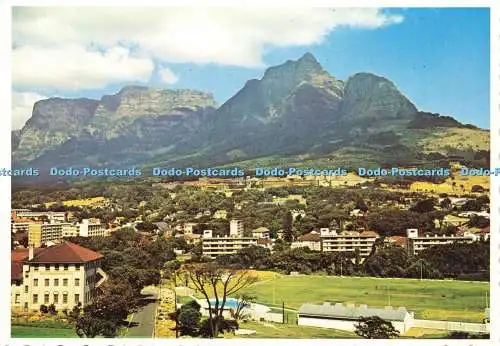 D237294 South Africa University of Cape Town Protea Farbdrucke