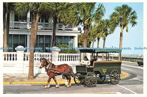 D230389 Charleston S C Charleston Straßenszene Charleston Postkarte Co
