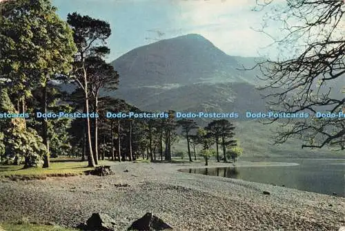 D237301 Cumberland The Buttermere Pines J Arthur Dixon 1961