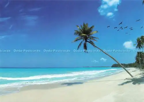 D239626 Blick auf den Strand Postkartenladen