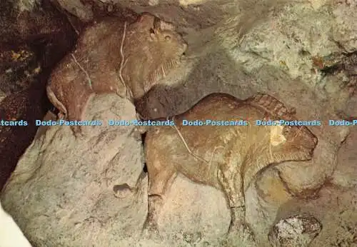 D239649 Les Eyzies Dordogne Musee de Prehistoire Bisons d Argile Epoque Magdalen