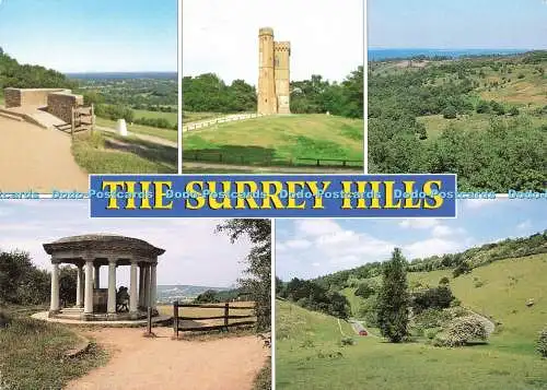 D230428 The Surrey Hills Zig Zag Box Hill Colley Hill J Salmon Ltd Kamerafarbe