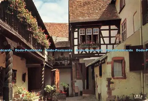 D239650 Riquewihr Cour des Cigognes La Cigogne Iris Mexichrome