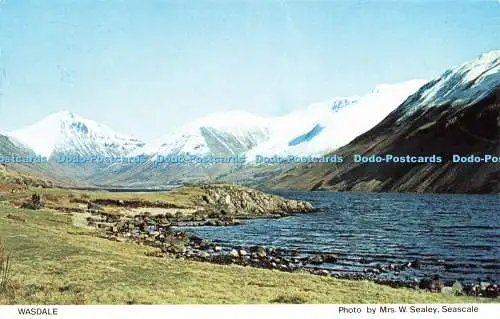 D237351 Wasdale Age Concern Judges Mrs W Sealey