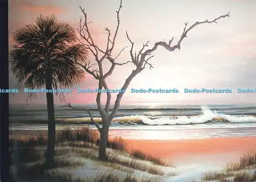 D230447 Peaceful Sunrise Charleston Post Card Co