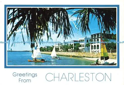 D230448 Grüße aus Charleston Charleston Post Card Co