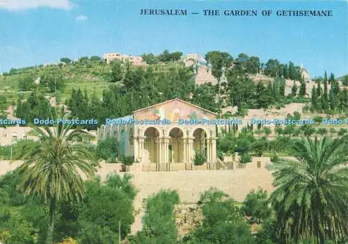 D237356 Jerusalem Der Garten Gethsemani Sternenkarten