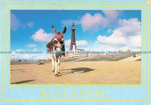D239673 Blackpool Fisa Antone Pablo 1997
