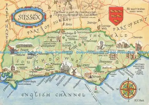 D237360 Sussex J Salmon