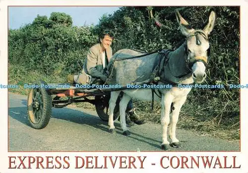 D239674 Cornwall Express Delivery John Hinde Ltd