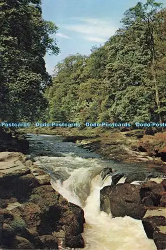 D235145 Yorkshire The Strid J Arthur Dixon