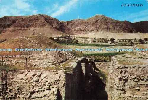 D237419 Jericho Ansicht des Berges der Versuchung Heilige Ansichten Palphot