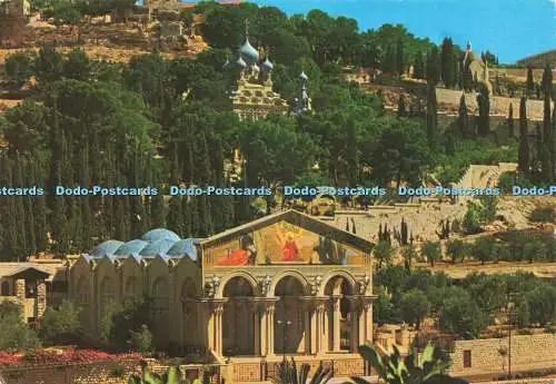 D237420 Jerusalem The Church of Gethsemane Holy Views Palphot