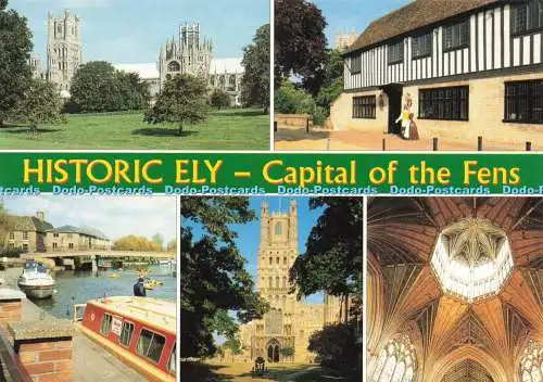 D237425 Historische Ely Hauptstadt des Venns J Salmon Multi View