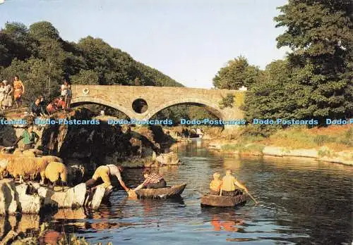 D237432 Dyfed Coracles at Cenarth J Arthur Dixon