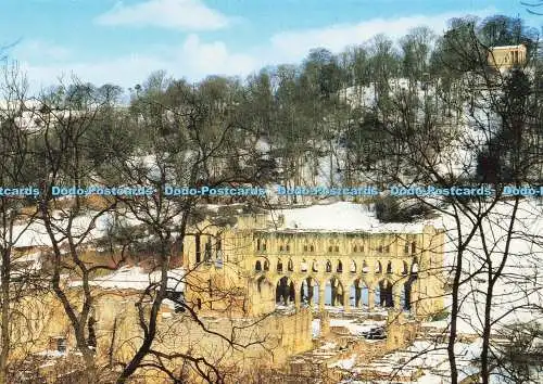 D237442 North Yorkshire Rievaulx Abbey English Heritage