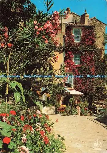 D235244 Bormes Les Mimosas Var Vieille Rue Fleurie Mär 1981