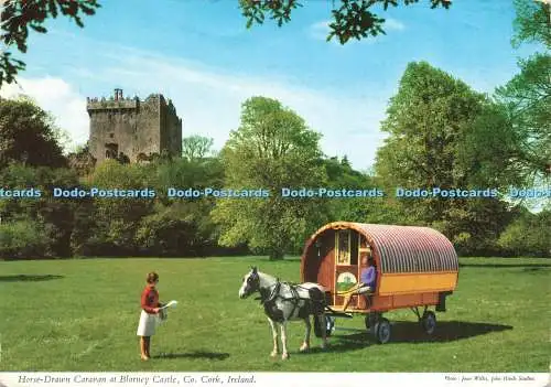 D230586 Ireland Co Kork Pferdewohnwagen in Blarney Castle John Hinde Ltd Joa
