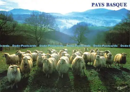 D239802 Pays Basque Environs de Espelette Thouand S A Medrinal