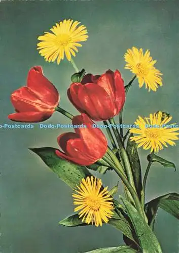 D235265 Blumen Krüger